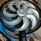 Foto enviada por cliente