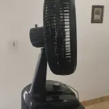 Foto enviada por cliente