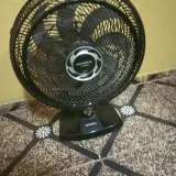 Foto enviada por cliente